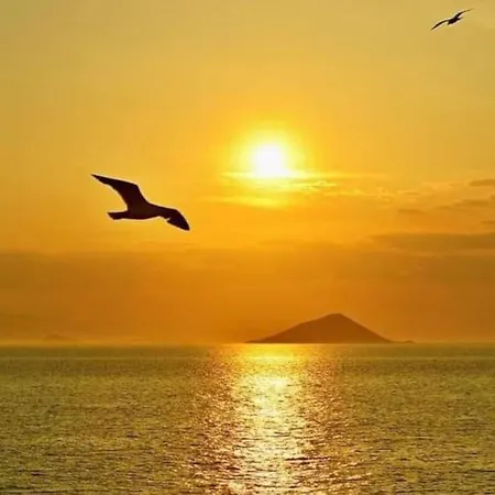 A Gaivota Ria Formosa Waterfront Lux With Pool, Olhão, Algarve Apartamento Olhão